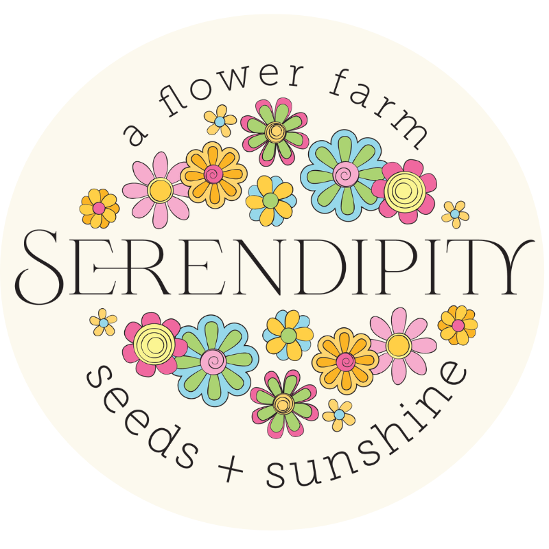 Contact — Serendipity Seeds & Sunshine (2025)